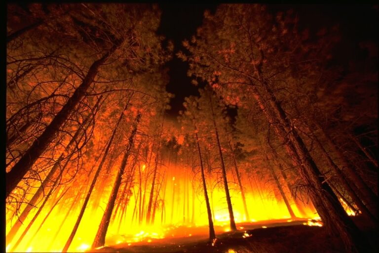 Wildfire_PublicDomainWikimedia